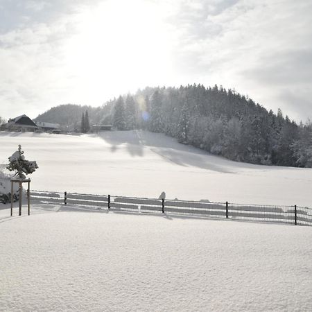 Pureescape Apartman Faistenau Kültér fotó